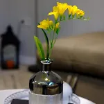 The Olive House - Center - Free Parking ブルガス