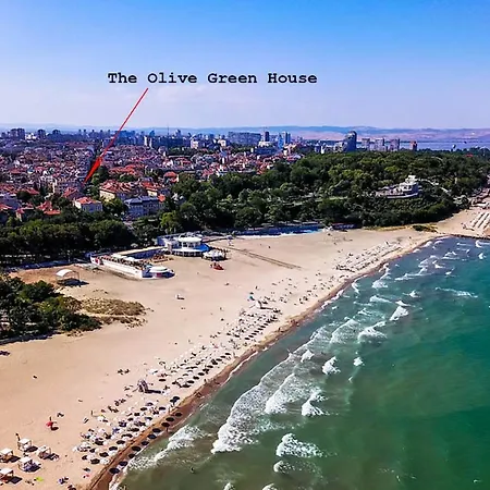 The Olive House - Center - Free Parking Apartment *