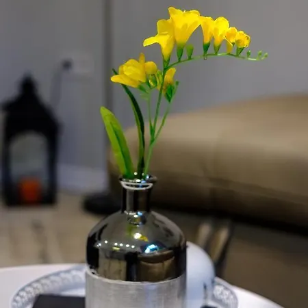 The Olive House - Center - Free Parking Burgas City