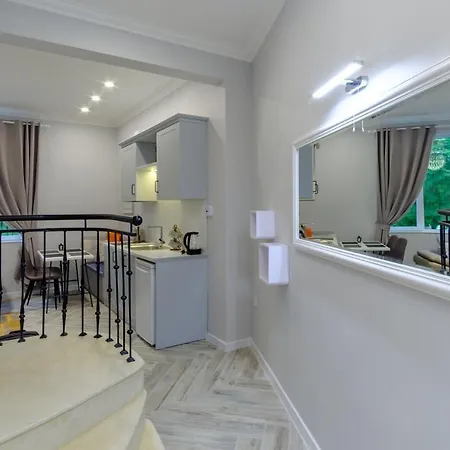 Apartament The Olive House *