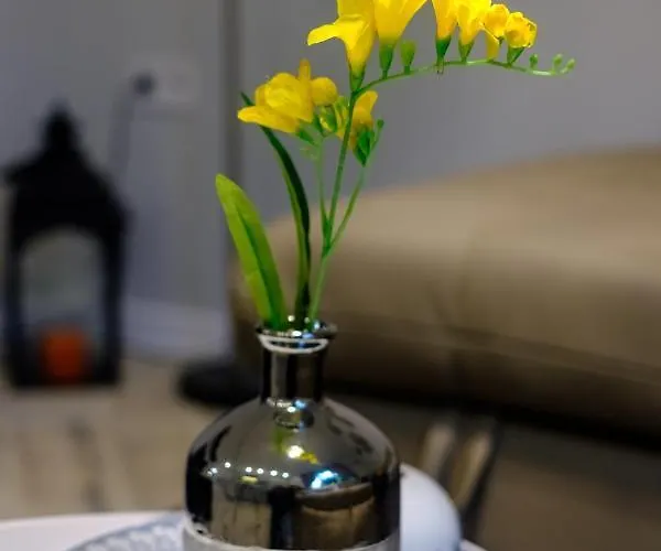 The Olive House - Center - Free Parking ブルガス