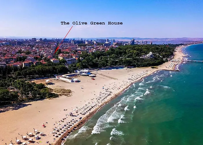 The Olive House - Center - Free Parking Apartment *